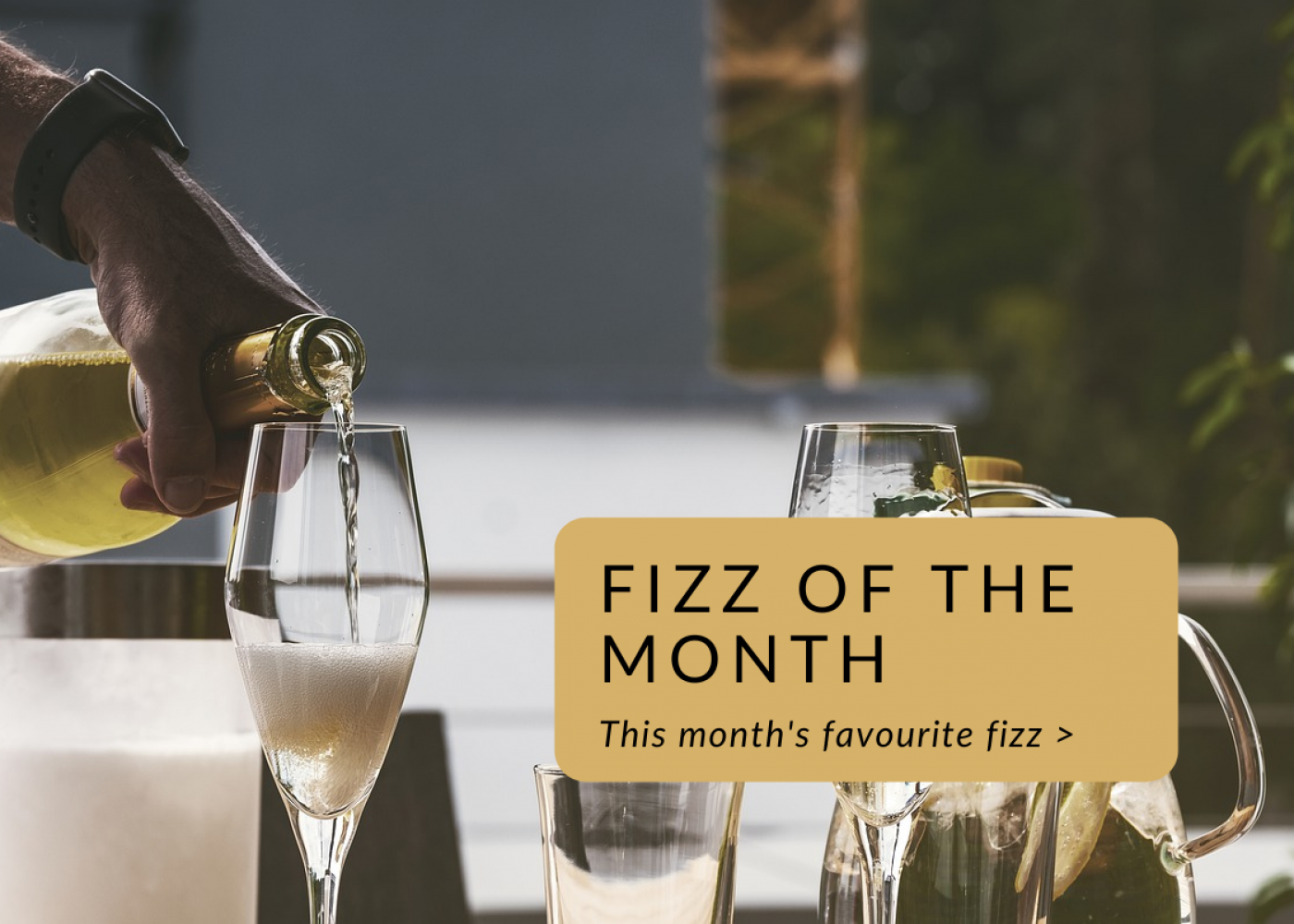 Fizz of the month (7)